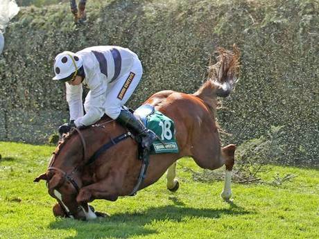 The Grand National: Is It Worth It All? 